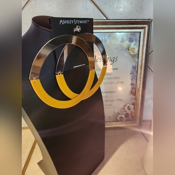 Large post back hoops! They fold for storage. - Picture 5 of 6